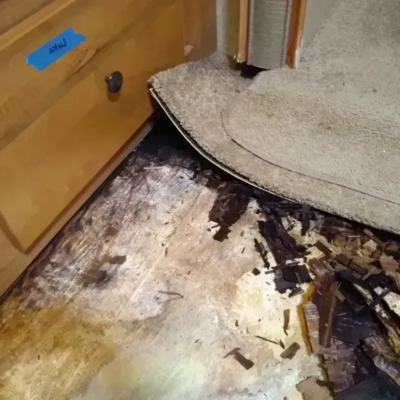 Wood Floor Water Damage in Elko, NV